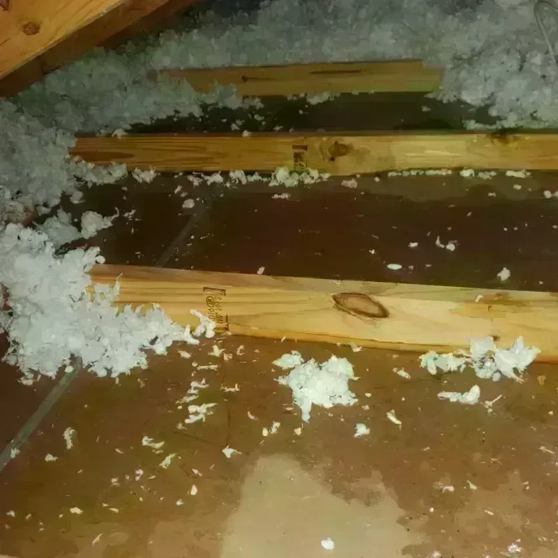 Attic Water Damage in Shenandoah, TX